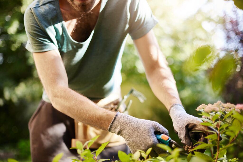 close-up-strong-man-gloves-cutting-leaves-his-garden-farmer-spending-summer-morning-working-garden-near-countryside-house-min-1